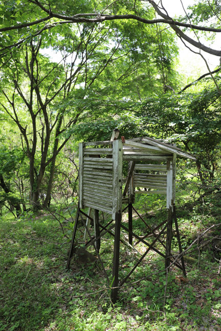 ■S玉町立E草小学校（山梨県）その3_f0395158_18040920.jpg