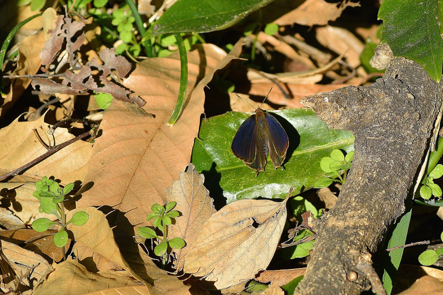 d0387460_22555329.jpg