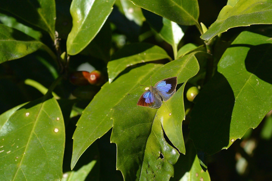 d0387460_22562745.jpg