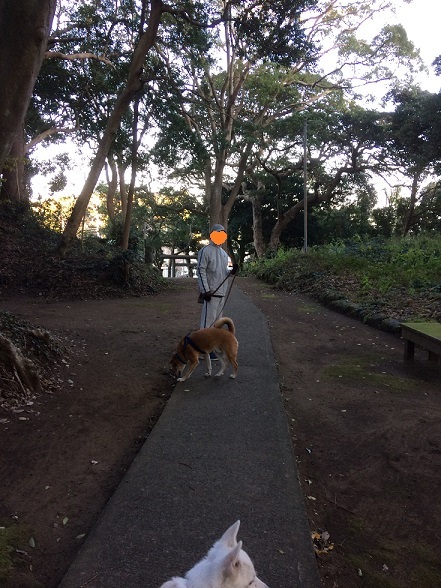 e0218862_22051774.jpeg