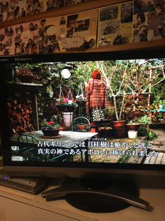大谷さんへお参りと京都紅茶倶楽部_f0363168_18070531.png