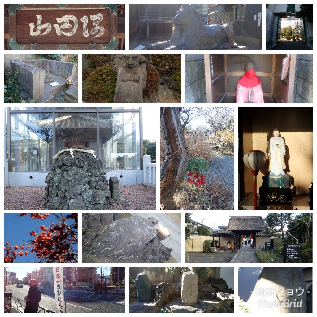2019正月まとめ(初詣、隅田川七福神、荏原七福神、靖国神社、目黒不動尊、京濱伏見稲荷神社ほか)_b0116271_23372271.jpg