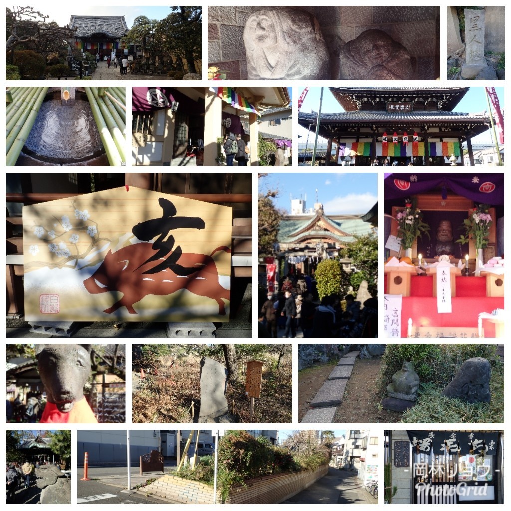 2019正月まとめ(初詣、隅田川七福神、荏原七福神、靖国神社、目黒不動尊、京濱伏見稲荷神社ほか)_b0116271_23372294.jpg