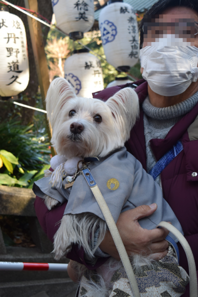b0242873_10331862.png