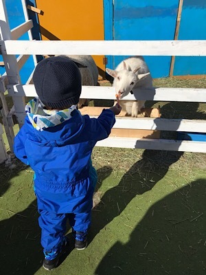 b0197576_21063562.jpeg