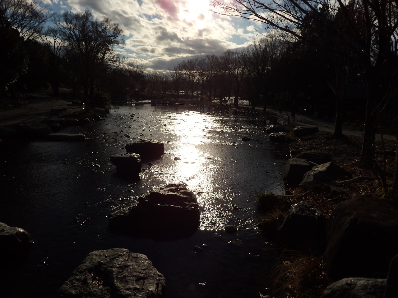 d0054276_19351980.jpg