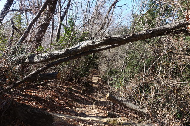 e0232277_14034700.jpg