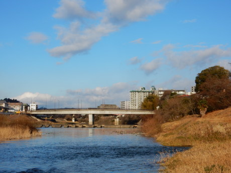 冬の川散歩_e0355177_10353556.jpg