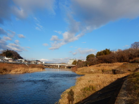 白鳥さん_e0355177_19104490.jpg