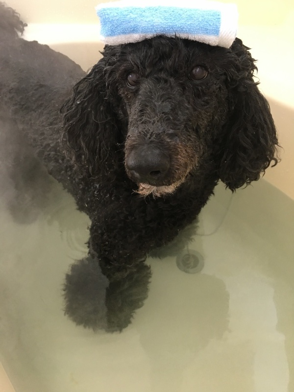 c0283778_17312630.jpeg