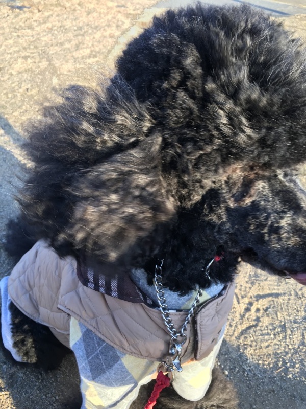 c0283778_17353091.jpeg