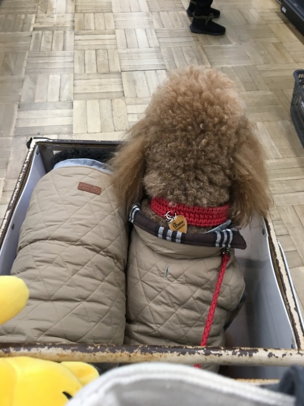 c0283778_17373116.jpeg