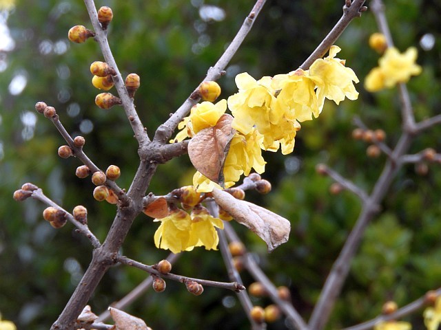 f0378979_15030084.jpg
