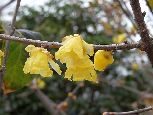 f0378979_15031665.jpg
