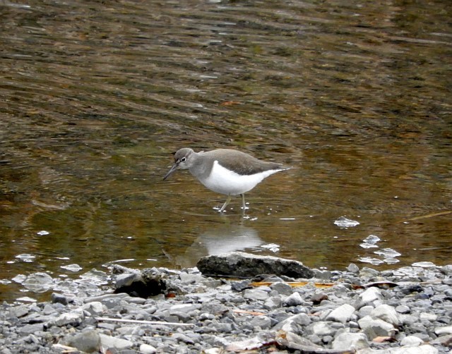 f0378979_15180187.jpg