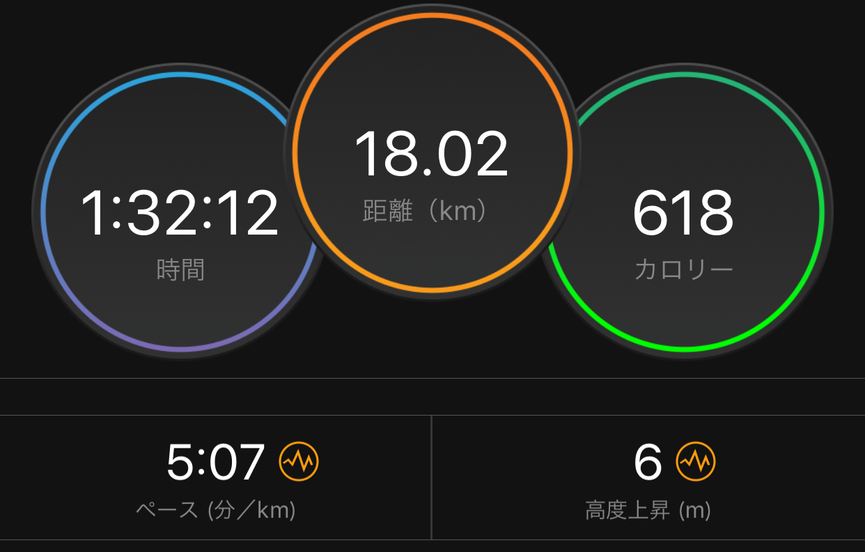 土の上ジョグで疲労回復 & シューズの処分_f0310282_17500887.jpeg