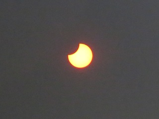 e0130185_952548.jpg