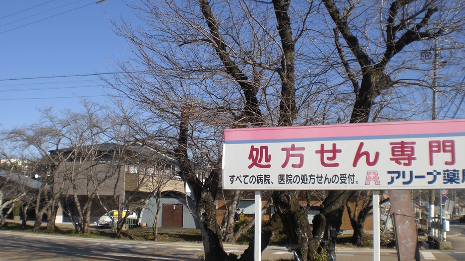 f0129585_175551.jpg