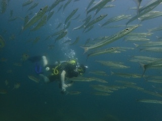 f0144385_20105116.jpg