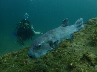 f0144385_20105196.jpg