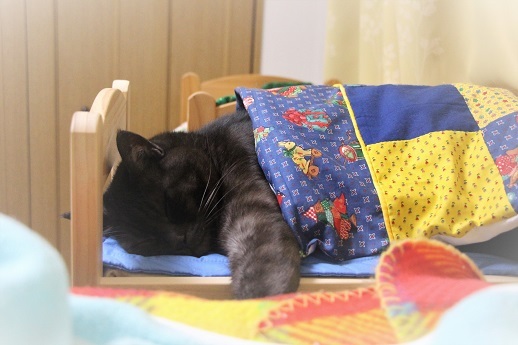 キャットハンドパワー_a0333195_09551907.jpg