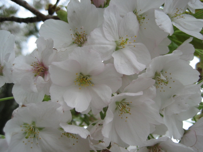 f0201297_01041901.jpg