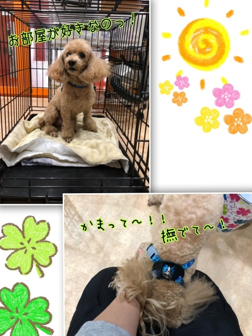 d0269898_10573419.jpeg