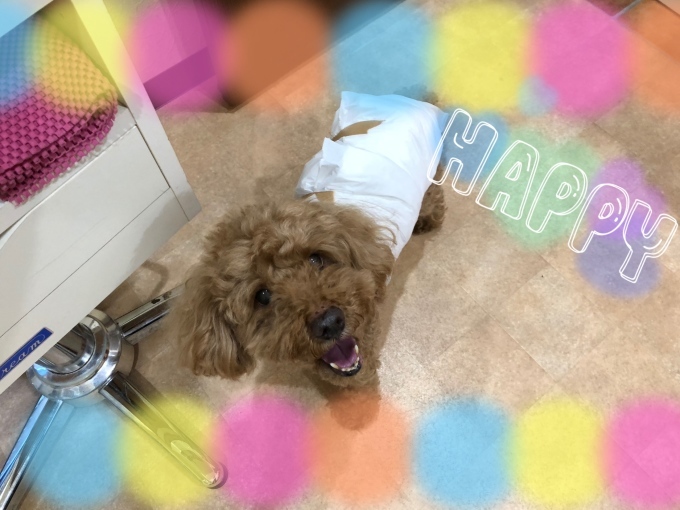 d0269898_10591440.jpeg