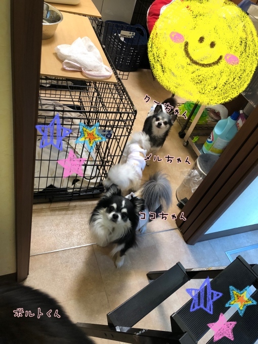 d0269898_10594325.jpeg