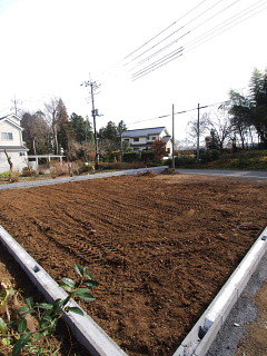 c0039501_16455554.jpg