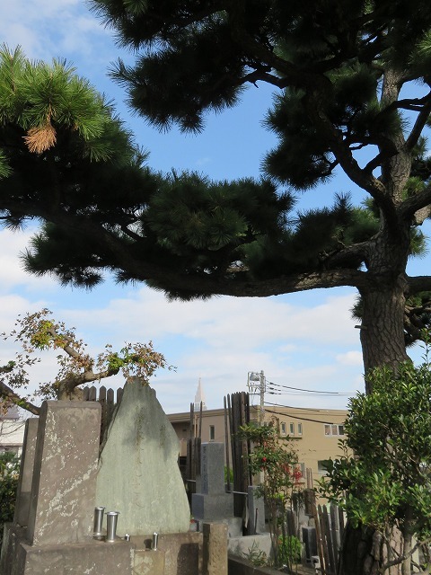 福泉寺と斎藤弥九郎の墓（代々木散歩⑦）_c0187004_12201917.jpg