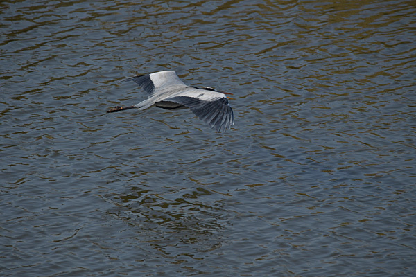 a0278809_14480125.jpg