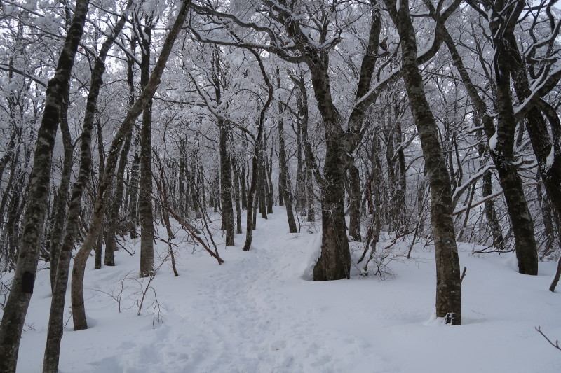 d0103314_11442917.jpg