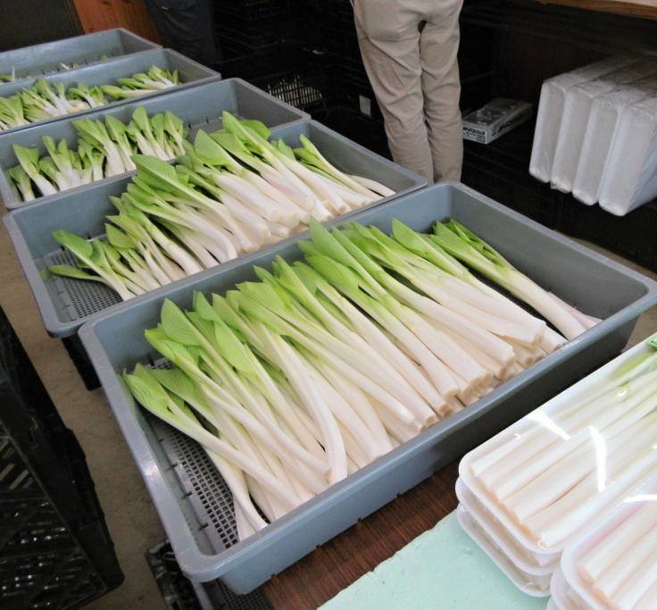 仕事始まり_f0067514_09571732.jpg
