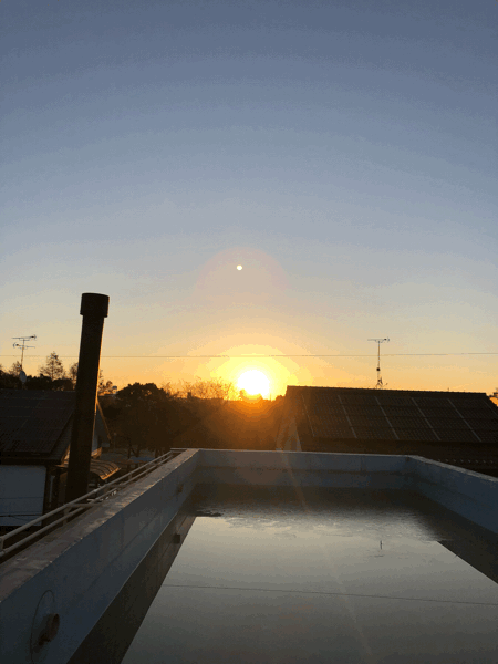 b0268815_01535958.gif