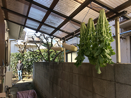 f0097523_15412201.jpg