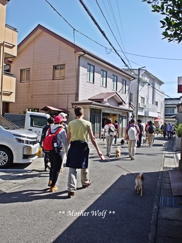 第25回マザーウルフ遠足 鎌倉源氏山レポート_e0191026_23283591.jpg