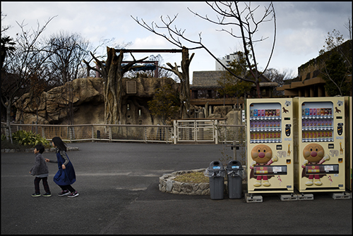 年の瀬の動物園（印象編）４_f0078127_21015850.jpg