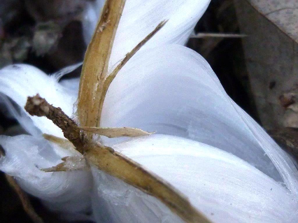 b0298935_20341737.jpg