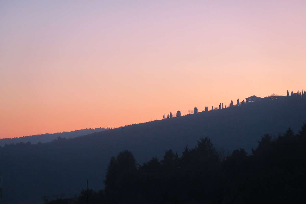 ベファーナツリーときれいな夕空_f0234936_516170.jpg