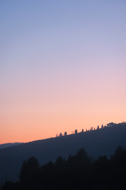 ベファーナツリーときれいな夕空_f0234936_5174569.jpg