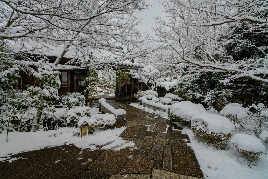 宝泉院の雪景色_e0363038_13540997.jpg