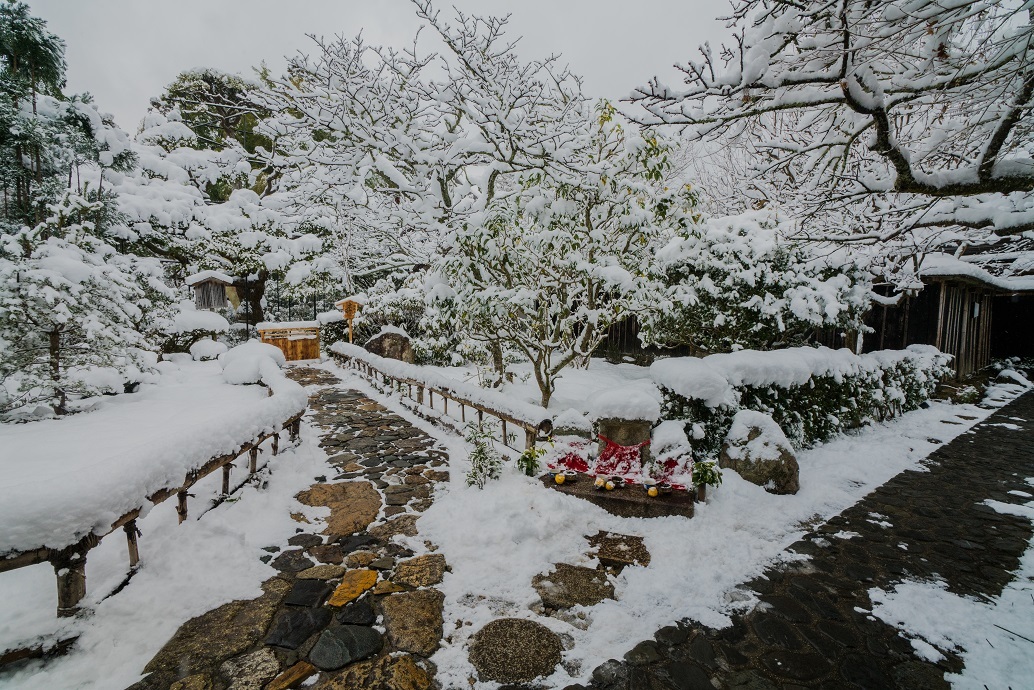 宝泉院の雪景色_e0363038_13544186.jpg