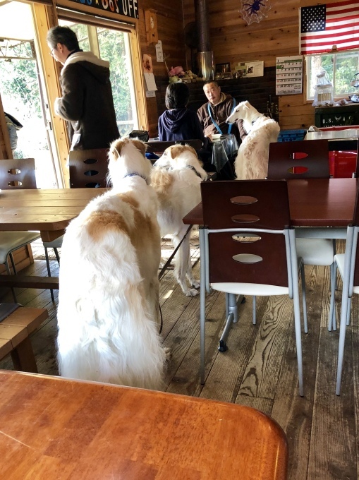 b0369239_11261871.jpeg