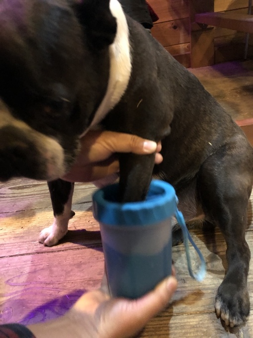 b0369239_11305741.jpeg