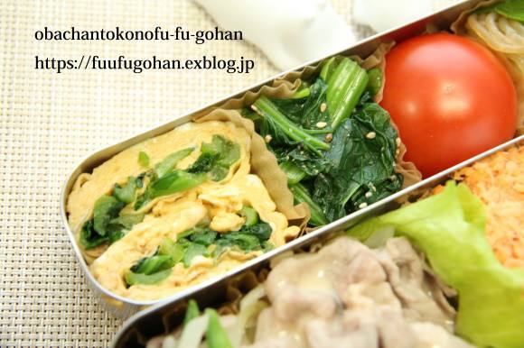 今年もやっぱり~月曜鮭弁(o^^o)&御出勤ごぱんセット_c0326245_10252856.jpg