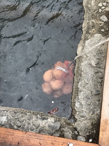 冬休み_f0039446_08255381.jpeg