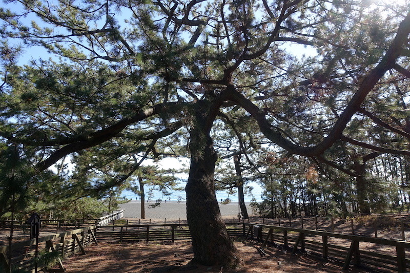 b0325549_00043701.jpg