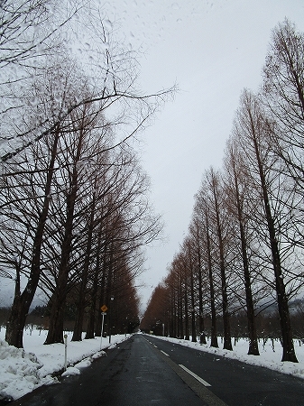 c0327752_15381814.jpg