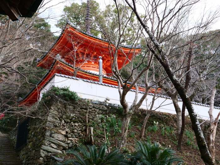   新春の紀三井寺　３　　２０１９-０１-０９　００：００_b0093754_23012618.jpg